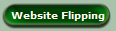 Website Flipping