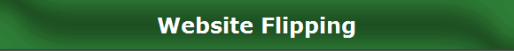 Website Flipping
