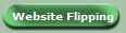 Website Flipping